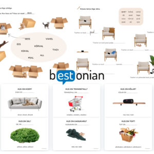 Tagasõnad (peal, all, ees, taga, sees, kõrval, kohal, vahel)